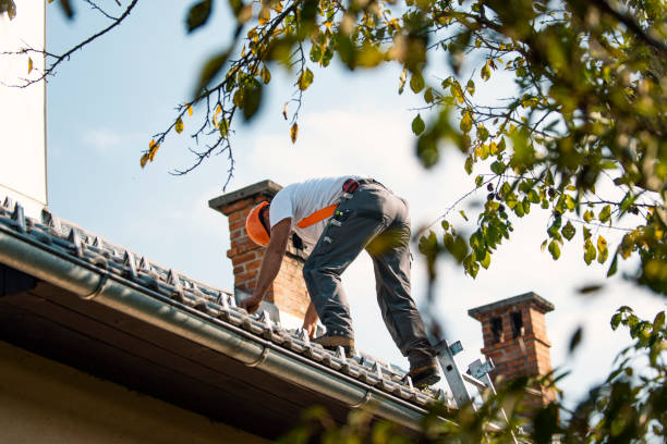 Best Flat Roof Repair Services  in Shreve, OH