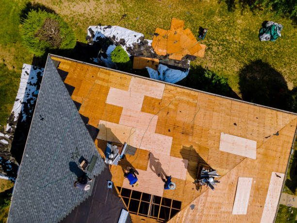 Best Roof Gutter Cleaning  in Shreve, OH
