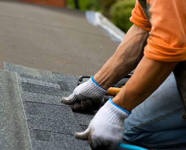 Quick and Trustworthy Emergency Roof Repair Services in Shreve, OH