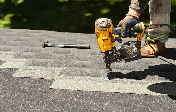 Best Storm Damage Roof Repair  in Shreve, OH