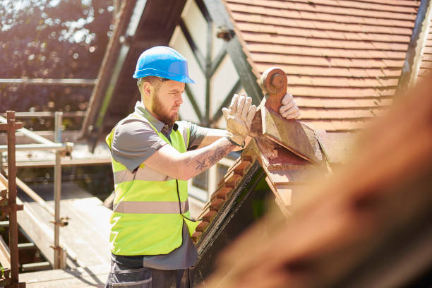 Best Roof Repair Services  in Shreve, OH