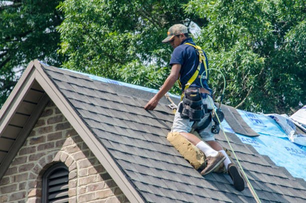 Best New Roof Installation  in Shreve, OH